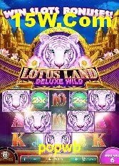 Experiência VIP popwb